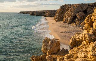 Beach,In,The,Morning,At,Ras,Al,Jinz,Turtle,Reserve